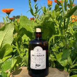Our Gin image