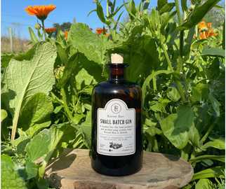 Our Gin image 2