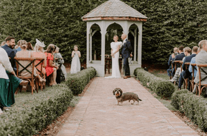 Wedding gallery image 5